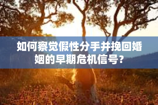 如何察觉假性分手并挽回婚姻的早期危机信号？