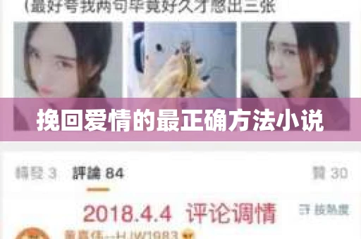 挽回爱情的最正确方法小说