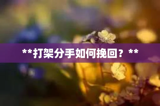**打架分手如何挽回？**