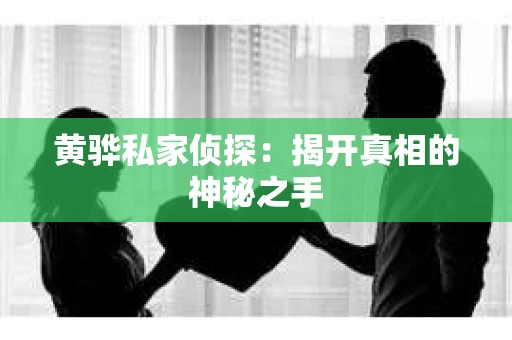 黄骅私家侦探：揭开真相的神秘之手