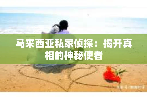 马来西亚私家侦探：揭开真相的神秘使者