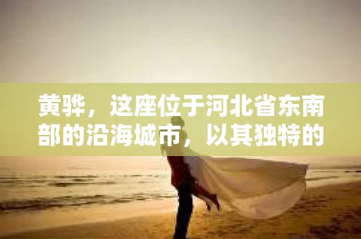 黄骅，这座位于河北省东南部的沿海城市，以其独特的地理位置和丰富的历史文化而闻名。然而，在这座城市中，还有一群人，他们以另一种方式默默守护着社会的公平与正义——私家侦探。今天，我们就来聊聊黄骅的私家侦探，看看他们是如何在这个城市中发挥作用的。