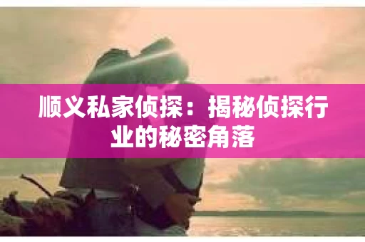 顺义私家侦探：揭秘侦探行业的秘密角落