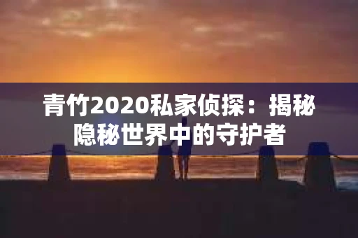 青竹2020私家侦探：揭秘隐秘世界中的守护者