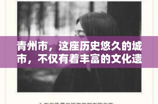 青州市，这座历史悠久的城市，不仅有着丰富的文化遗产，也有着现代生活的便捷。那么，问题来了——青州市有私家侦探公司吗？这个问题，对于需要侦探服务的人来说，无疑至关重要。接下来，我就来为大家揭开这个谜底。
