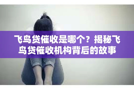 飞鸟贷催收是哪个？揭秘飞鸟贷催收机构背后的故事