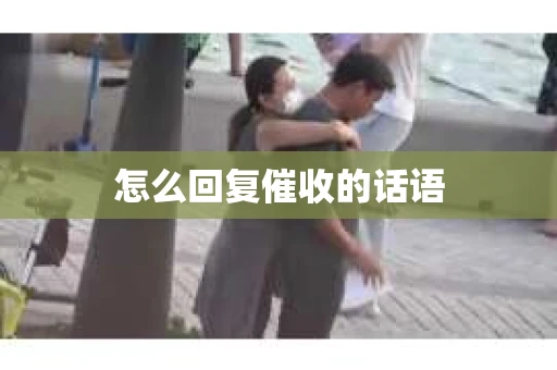 怎么回复催收的话语