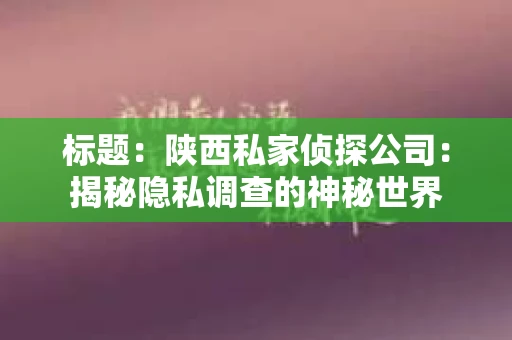 标题：陕西私家侦探公司：揭秘隐私调查的神秘世界