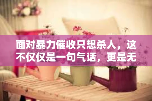 面对暴力催收只想杀人，这不仅仅是一句气话，更是无数借款人内心深处的恐惧。在这个看似光鲜亮丽的现代社会，暴力催收现象却如同毒瘤般蔓延，让人防不胜防。今天，我们就来聊聊这个沉重的话题，揭开暴力催收的冰山一角。