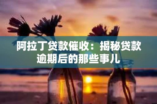 阿拉丁贷款催收：揭秘贷款逾期后的那些事儿