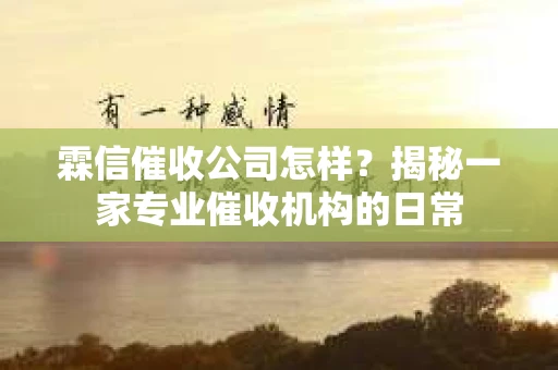霖信催收公司怎样？揭秘一家专业催收机构的日常
