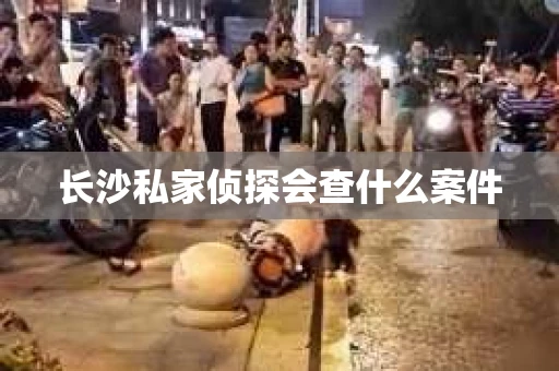 长沙私家侦探会查什么案件