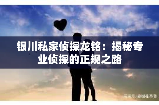 银川私家侦探龙铭：揭秘专业侦探的正规之路