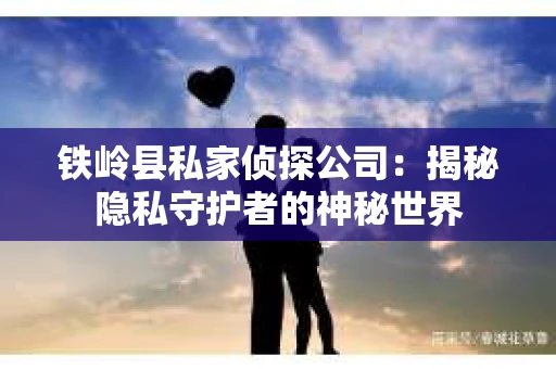 铁岭县私家侦探公司：揭秘隐私守护者的神秘世界