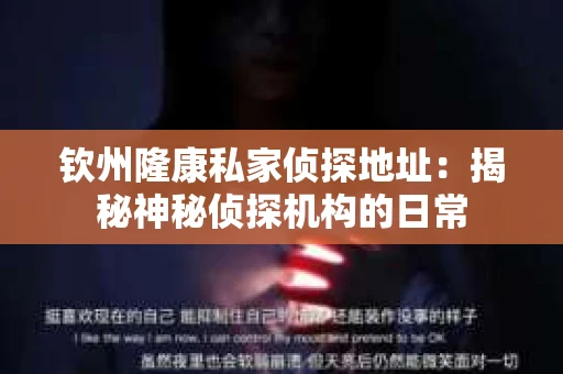 钦州隆康私家侦探地址：揭秘神秘侦探机构的日常