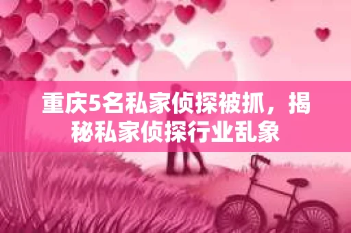 重庆5名私家侦探被抓，揭秘私家侦探行业乱象