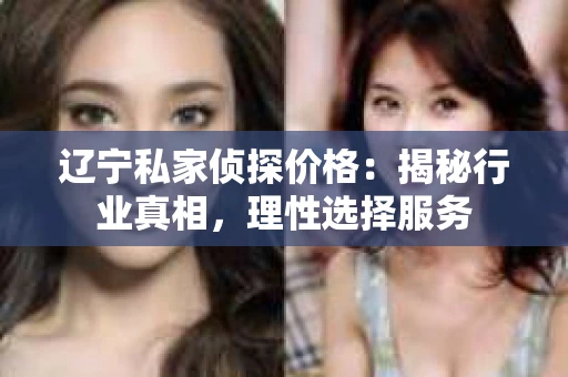 辽宁私家侦探价格：揭秘行业真相，理性选择服务