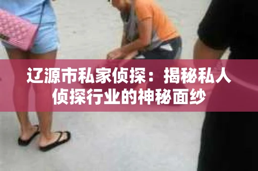 辽源市私家侦探：揭秘私人侦探行业的神秘面纱