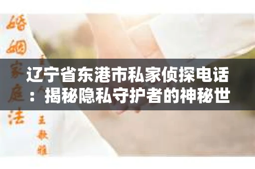 辽宁省东港市私家侦探电话：揭秘隐私守护者的神秘世界