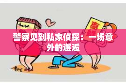 警察见到私家侦探：一场意外的邂逅