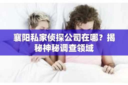 襄阳私家侦探公司在哪？揭秘神秘调查领域