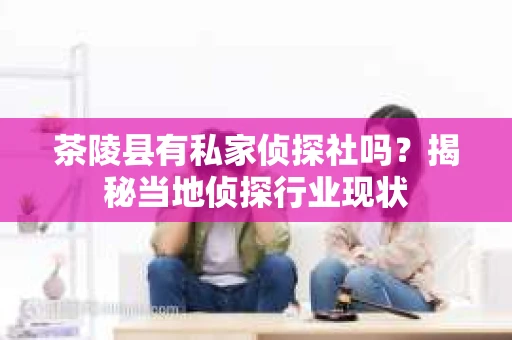 茶陵县有私家侦探社吗？揭秘当地侦探行业现状