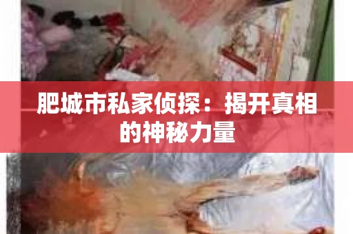 肥城市私家侦探：揭开真相的神秘力量