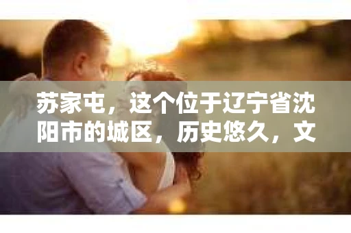 苏家屯，这个位于辽宁省沈阳市的城区，历史悠久，文化底蕴深厚。近年来，随着社会的发展，人们对于私家侦探的需求也逐渐增加。那么，苏家屯有私家侦探吗？今天，我们就来聊聊这个话题。