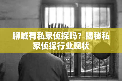 聊城有私家侦探吗？揭秘私家侦探行业现状