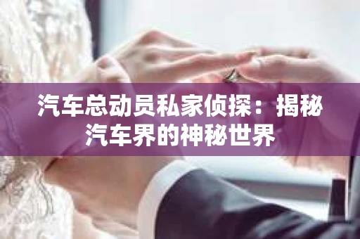 汽车总动员私家侦探：揭秘汽车界的神秘世界