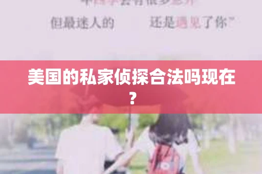 美国的私家侦探合法吗现在？