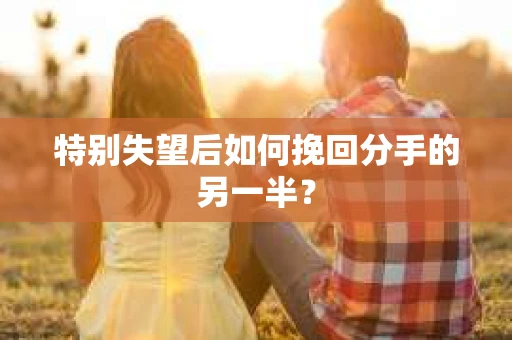 特别失望后如何挽回分手的另一半？
