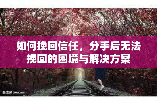 如何挽回信任，分手后无法挽回的困境与解决方案