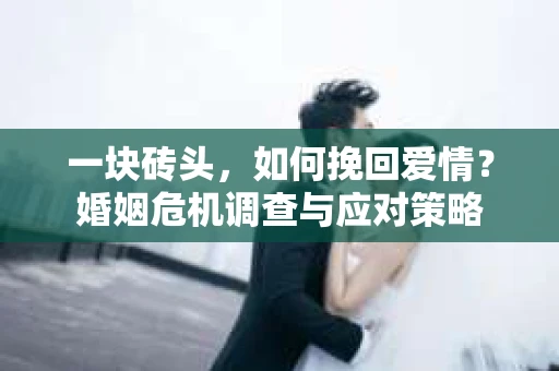 一块砖头，如何挽回爱情？婚姻危机调查与应对策略