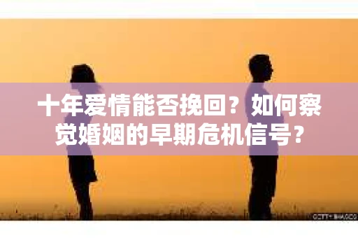 十年爱情能否挽回？如何察觉婚姻的早期危机信号？