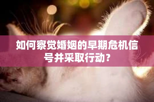 如何察觉婚姻的早期危机信号并采取行动？