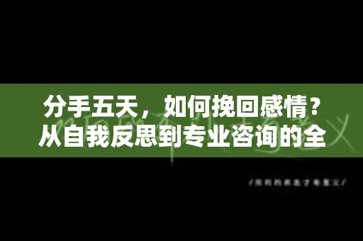 分手五天，如何挽回感情？从自我反思到专业咨询的全面解决方案