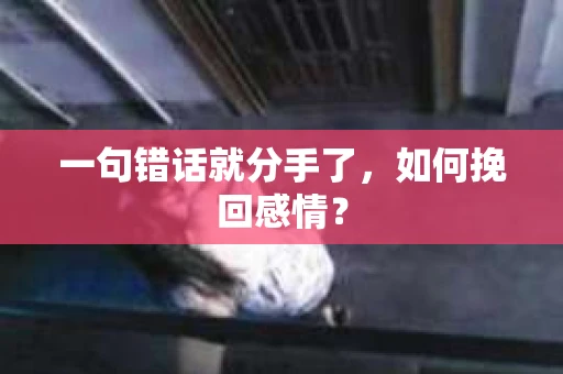 一句错话就分手了，如何挽回感情？