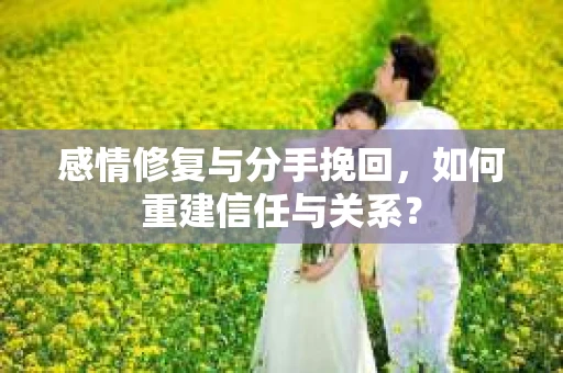 感情修复与分手挽回，如何重建信任与关系？