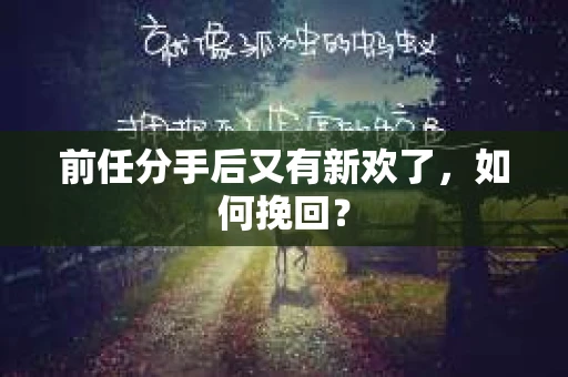 前任分手后又有新欢了，如何挽回？