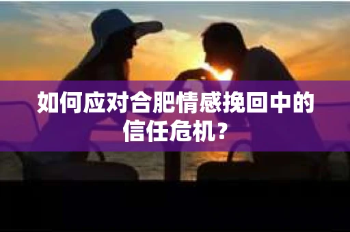 如何应对合肥情感挽回中的信任危机？