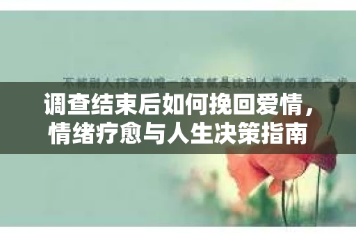 调查结束后如何挽回爱情，情绪疗愈与人生决策指南