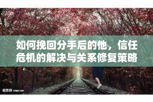 如何挽回分手后的他，信任危机的解决与关系修复策略