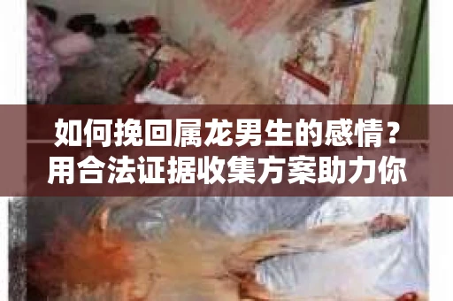 如何挽回属龙男生的感情？用合法证据收集方案助力你的努力？
