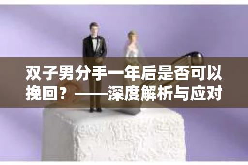 双子男分手一年后是否可以挽回？——深度解析与应对策略